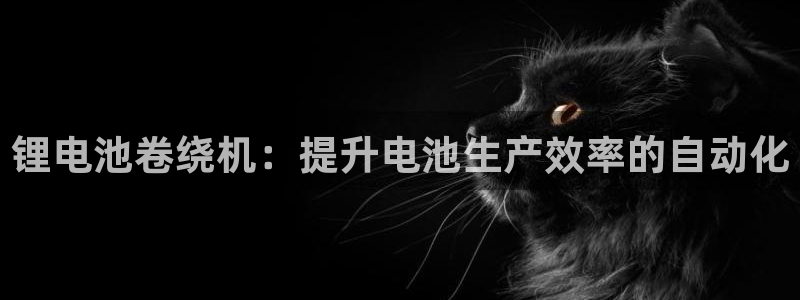 凯时官网下载客户端：锂电池卷绕机：提升电池生产效率的自动化