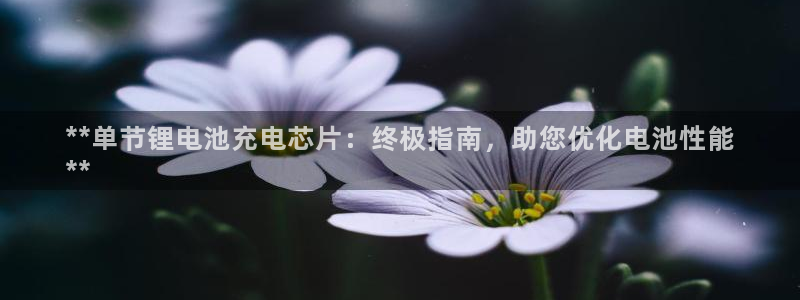 尊龙凯时老板
