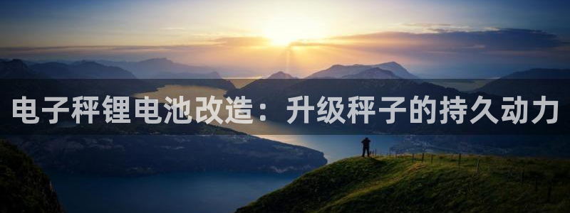 尊龙人生就是博登录准认来就送38：电子秤锂电池改造：升级秤子的持久动力
