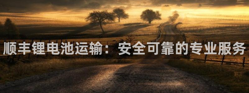 ag旗舰平台尊龙代言：顺丰锂电池运输：安全可靠的专业服务