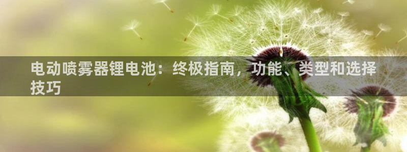 尊龙凯时有限公司