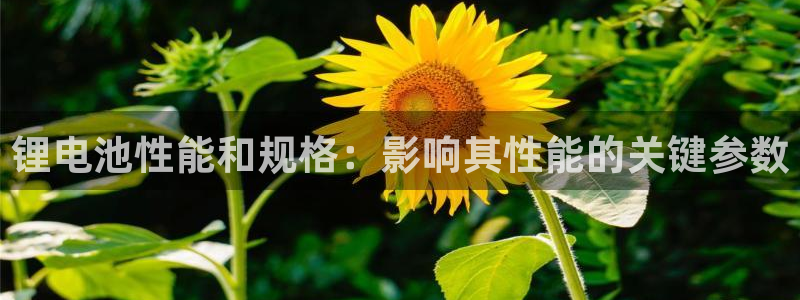 尊龙凯时有封银行卡的吗