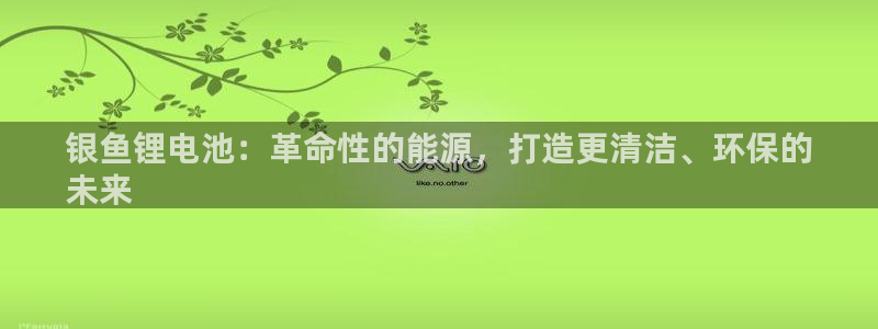 尊龙凯时人生就是搏包装优势：银鱼锂电池：革命性的能源，打造更清洁、环保的
未来