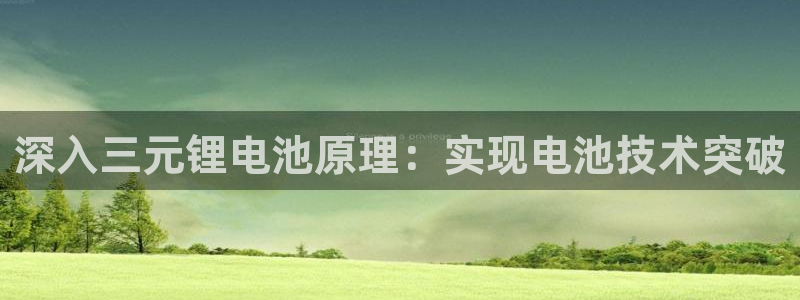 尊龙凯时出款