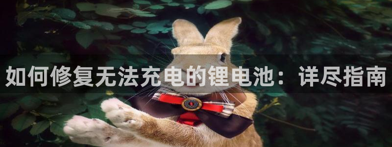 凯时旗舰厅App下载：如何修复无法充电的锂电池：详尽指南