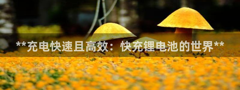 尊龙凯时 人生就是搏首页：**充电快速且高效：快充锂电池的世界**