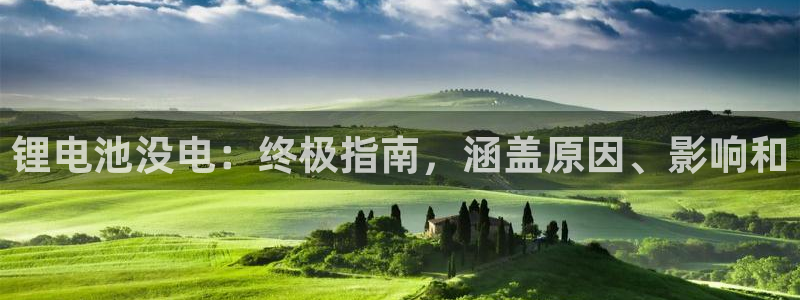 尊龙人生就是博官网登录手机：锂电池没电：终极指南，涵盖原因、影响和