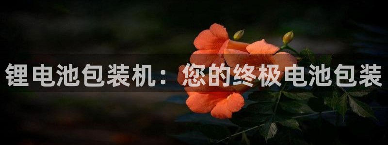 下载凯时AG旗舰厅首页：锂电池包装机：您的终极电池包装