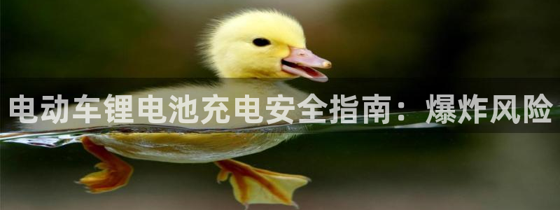 尊龙凯时有限公司