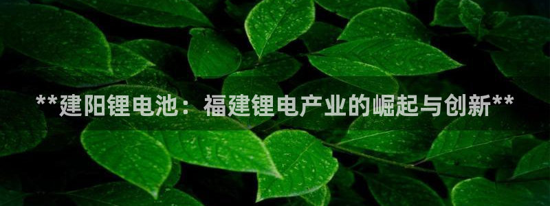 尊龙凯时取款不成功