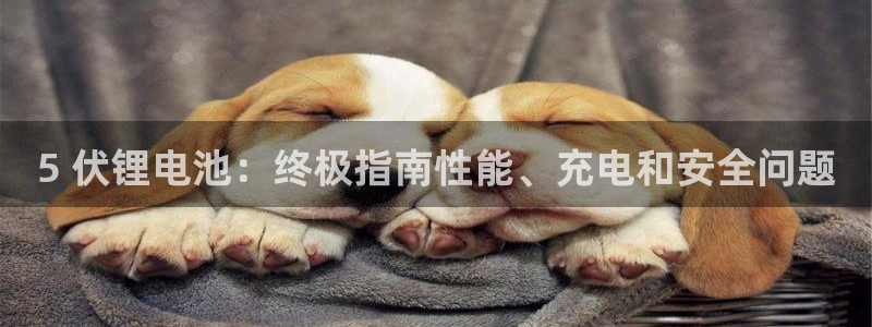 尊龙凯时官网首页