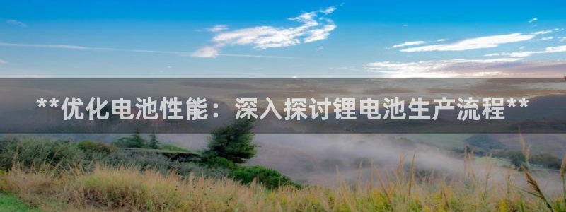尊龙,人生就是博!登录国际：**优化电池性能：深入探讨锂电池生产流程**