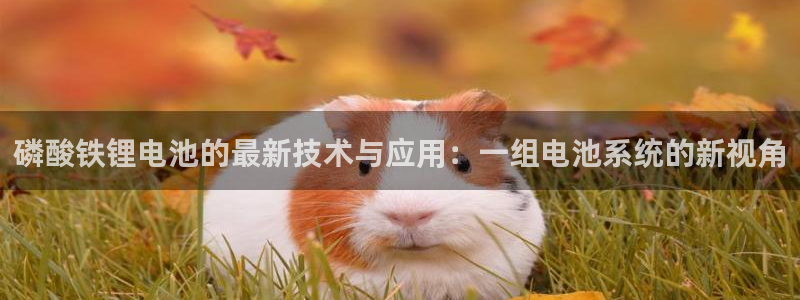 凯时kb88kb88