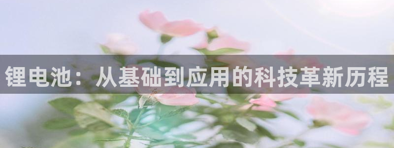 z6尊龙平台是哪里的