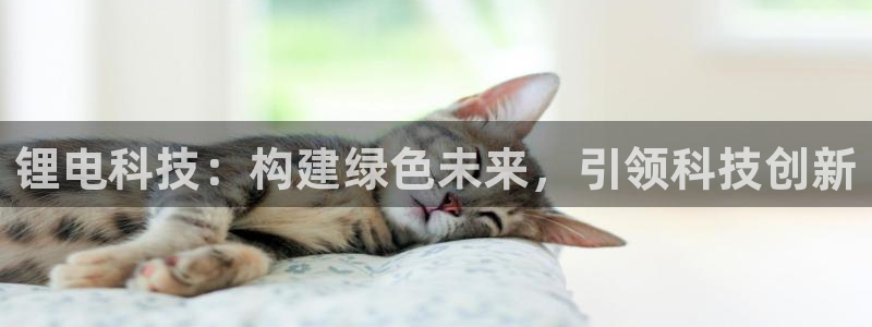 尊龙手机端下载
