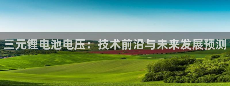 尊龙凯时处理未到账