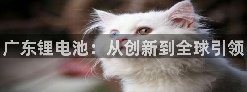 尊龙人生就是博首页入口