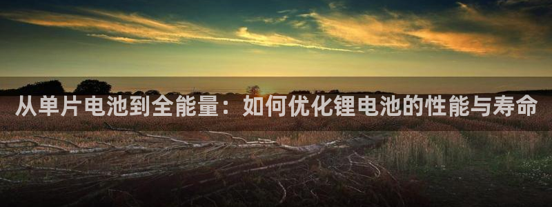 尊龙凯时人生就是搏包装优势