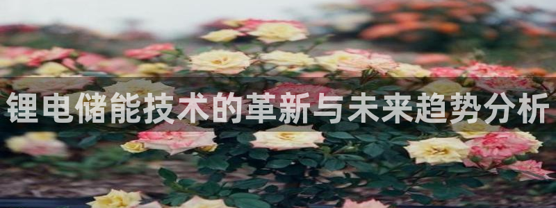 尊龙凯时ag旗舰厅官