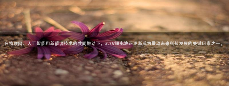 尊龙官网下载
