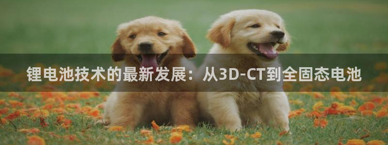 尊龙凯时输钱的原因