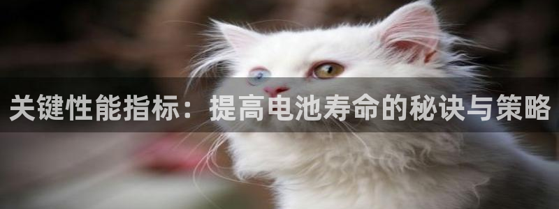 尊龙一生也走不出自己的童年