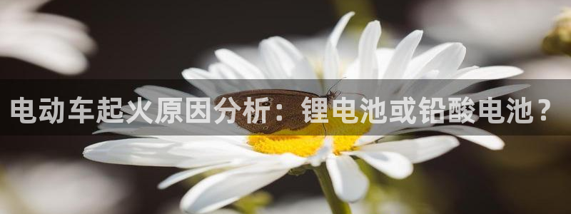 尊龙d88手机版下载