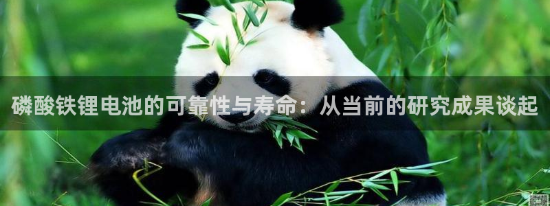 凯时k88最新