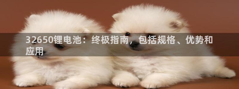 尊龙凯时z6官网