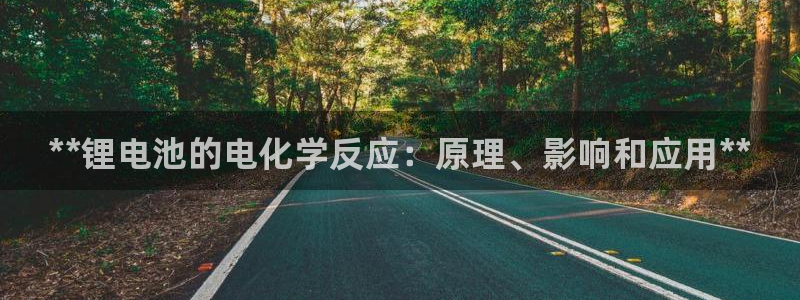 尊龙凯时人生就是博·(中国)官网首页：**锂电池的电化学反应：原理、影响和应用**
