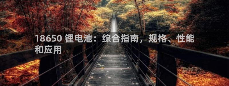 尊龙人生就是博用现金玩一下：18650 