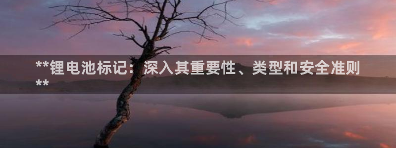 尊龙新版官网网页版：**锂电池标记：深入其重要性、类型和安全准则
**