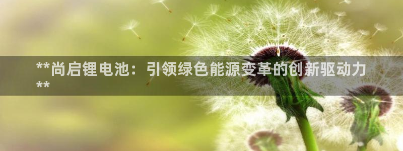 KB88凯时官网：**尚启锂电池：引领绿色能源变革的创新驱动力
**