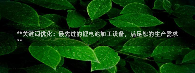 尊龙人生就是博官方官网：**关键词优化：最先进的锂电池加工设备，满足您的生产需求
**