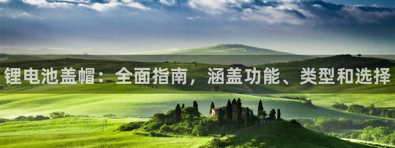 尊龙手机版：锂电池盖帽：全面指南，涵盖功能、类型和选择