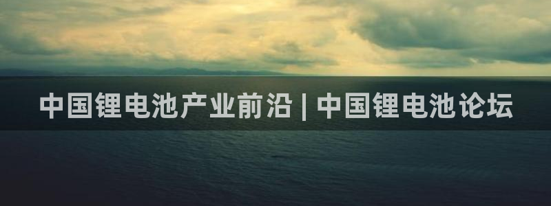 尊龙人生就是博菲律宾台子：中国锂电池产业