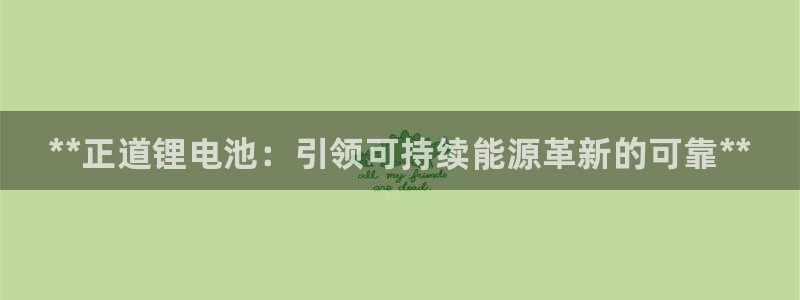 尊龙集团有限公司是国企吗：**正道锂电池：引领可持续能源革新的可靠**