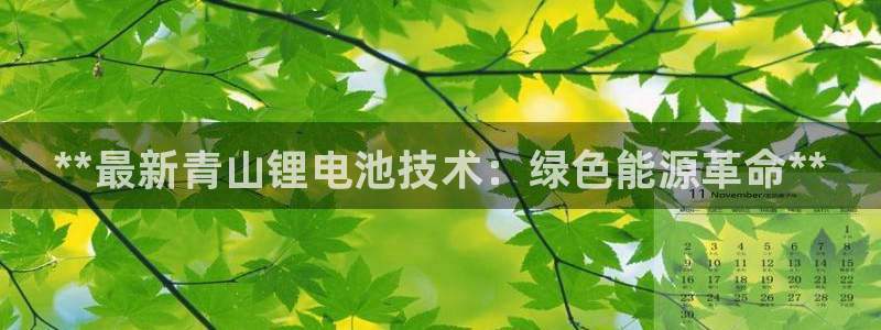 尊龙ag旗舰厅下载：**最新青山锂电池技术：绿色能源革命**