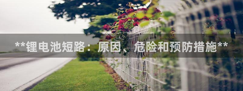 尊龙凯时人生就博