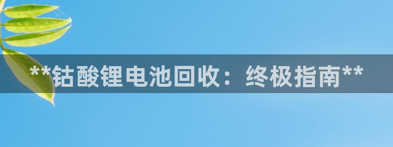尊龙贴吧：**钴酸锂电池回收：终极指南**