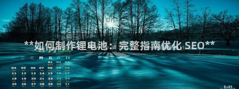 尊龙凯时平台有没有不到账的：**如何制作锂电池：完整指南优化 SEO**