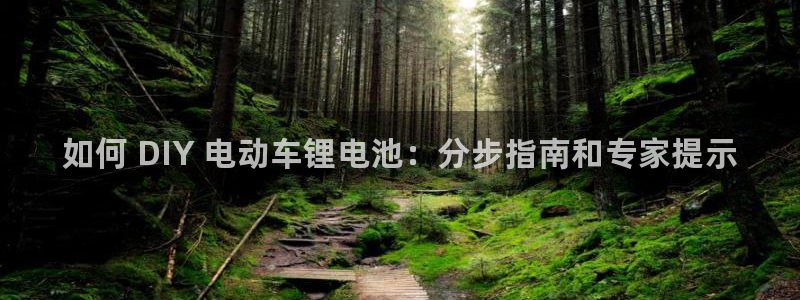 尊龙凯时人生就是博·(中国)：如何 DIY 电动车锂电池：分步指南和专家提示