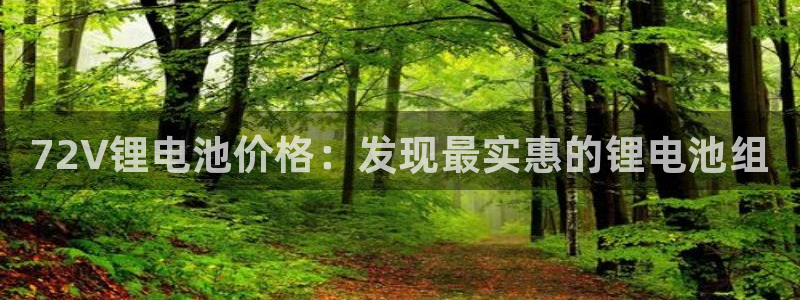 尊龙凯时正规吗：72V锂电池价格：发现最实惠的锂电池组