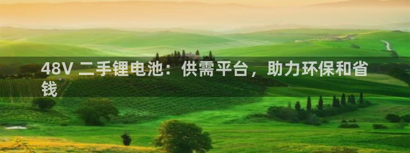 尊龙手机官方客户端下载安卓：48V 二手锂电池：供需平台，助力环保和省
钱