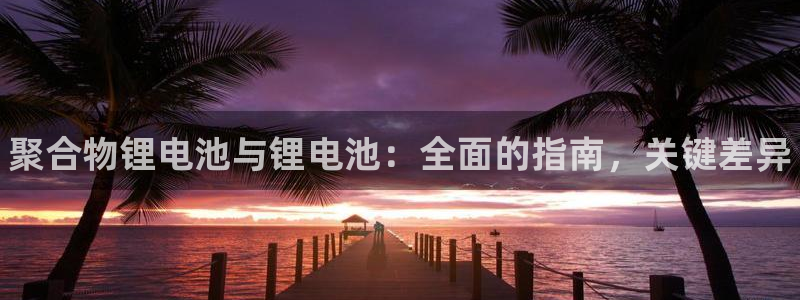 凯时ag旗舰厅：聚合物锂电池与锂电池：全面的指南，关键差异