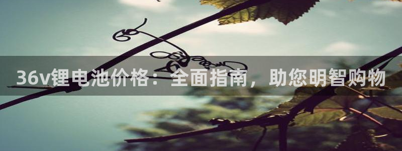 尊龙用现金娱乐一下下载旧：36v锂电池价格：全面指南，助您明智购物