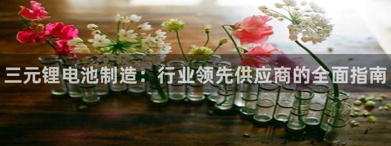尊龙凯时的最新消息：三元锂电池制造：行业领先供应商的全面指南