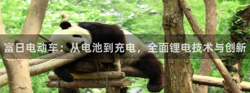 尊龙凯时人生就是博·(中国)官网首页