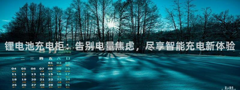 尊龙凯时产品系列：锂电池充电柜：告别电量焦虑，尽享智能充电新体验