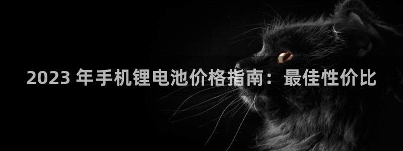 尊龙ag旗舰：2023 年手机锂电池价格指南：最佳性价比